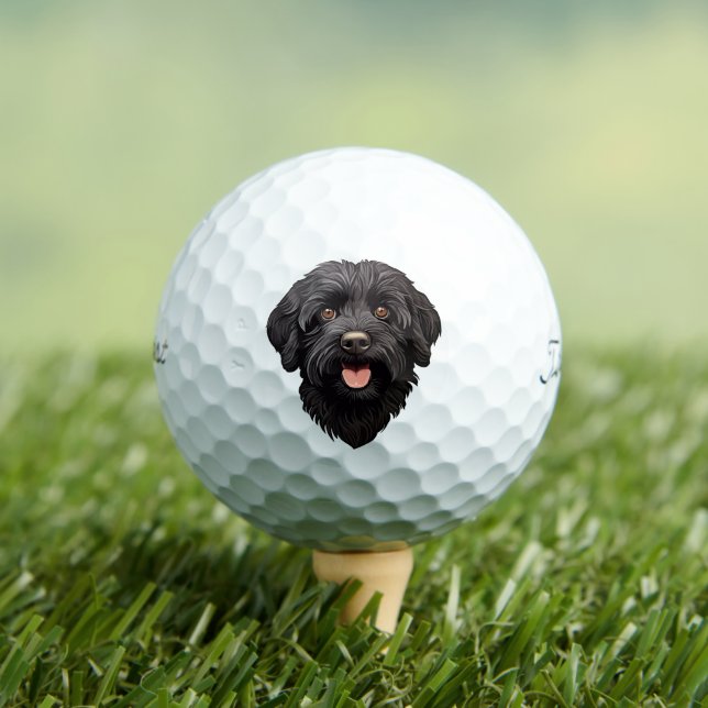 Labradoodle Black Dog Golf Balls (Insitu Tee)