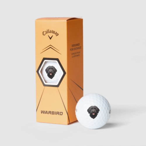 Labradoodle Black Dog Golf Balls