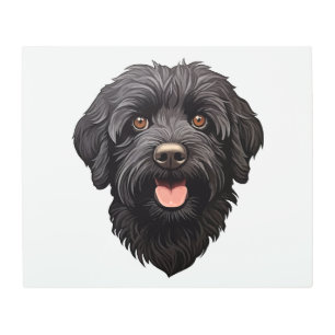 Labradoodle Black Dog Metal Print