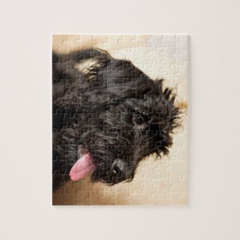 Labradoodle Black Jigsaw Puzzle by BreakoutTees at Zazzle