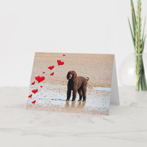 Labradoodle Black walking in water hearts Card