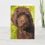labradoodle card