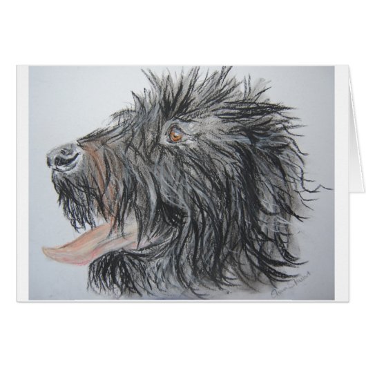 Labradoodle Cards (Front Horizontal)