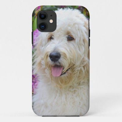 Labradoodle iPhone 11 Case