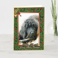 Labradoodle Dog Blank Christmas Card