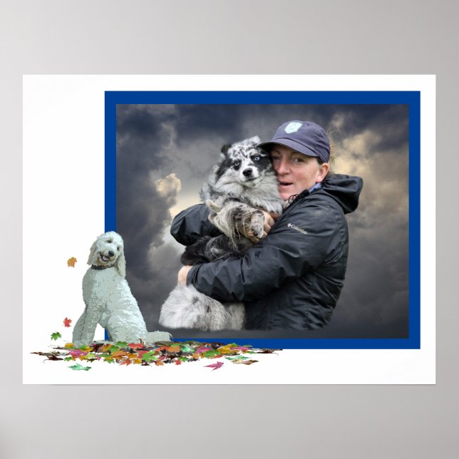 Labradoodle Dog In Leaves Poster (Front)