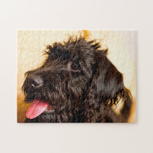 Labradoodle Dog Jigsaw Puzzle