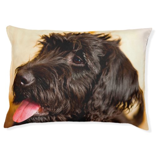 Labradoodle Dog Pet Bed