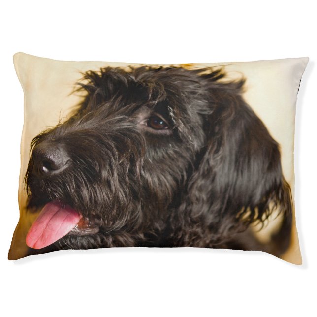 Labradoodle Dog. Pet Bed (Front)