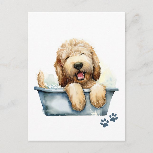 Labradoodle Dog Postcard (Front)