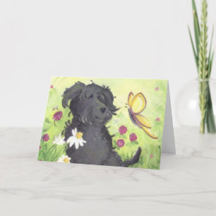 Labradoodle Doodle Dog / Get Well Greeting Card