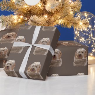 Labradoodle Goldendoodle Poodle Dog Pet  