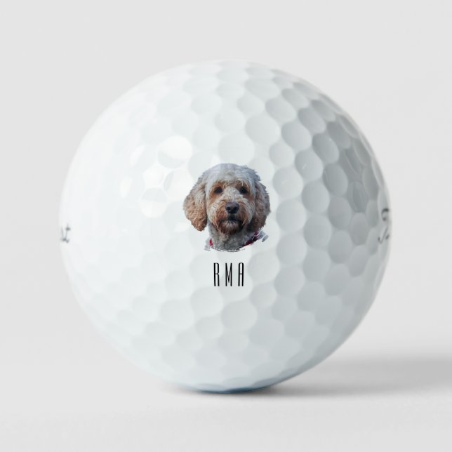 Labradoodle Golf Balls (Front)