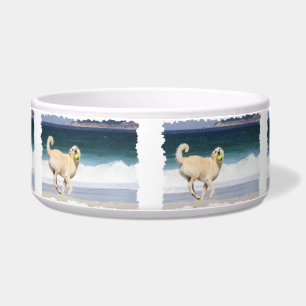 Labradoodle - Happy Day on the Beach Bowl