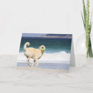 Labradoodle - Happy Day on the Beach Card