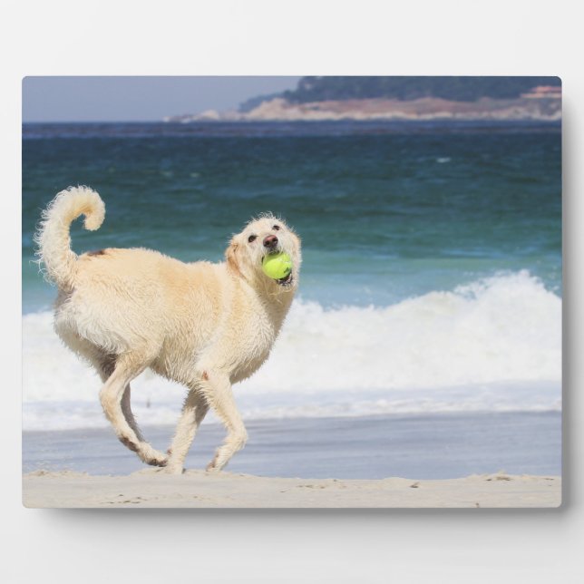 Labradoodle - Happy Day on the Beach Plaque (Front)