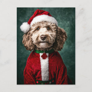 Labradoodle in Festive Christmas Attire Holiday Postcard
