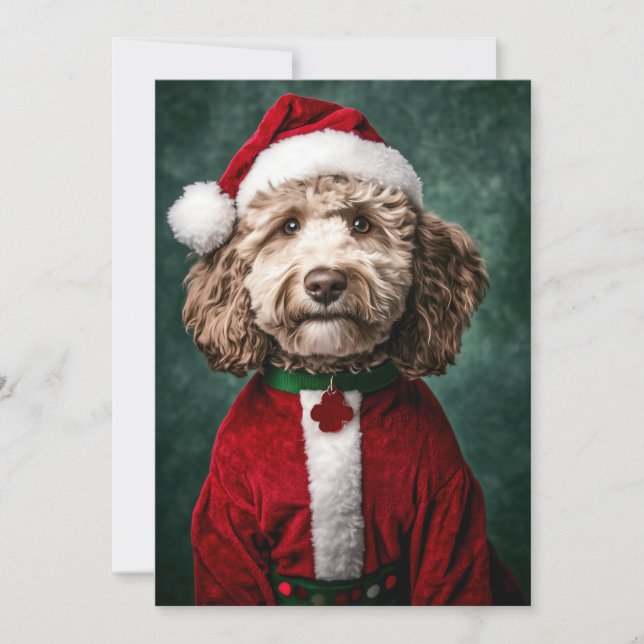 Labradoodle in Festive Christmas Attire Invitation (Front)