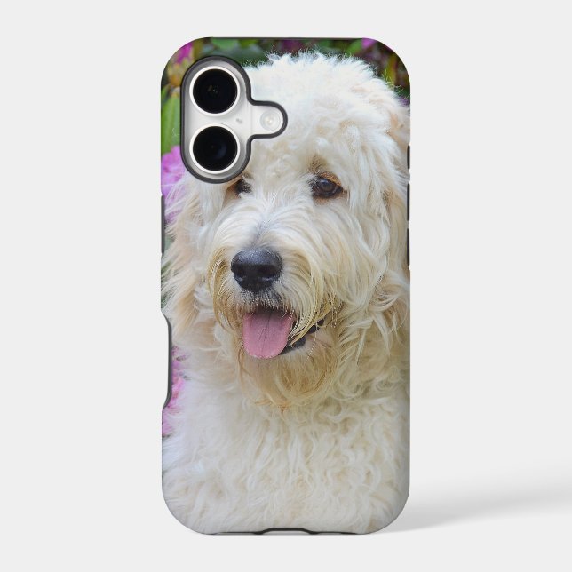 Labradoodle Iphone Case (Back)