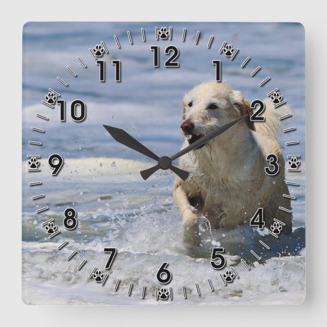 Labradoodle - Izzy Square Wall Clock (Front)