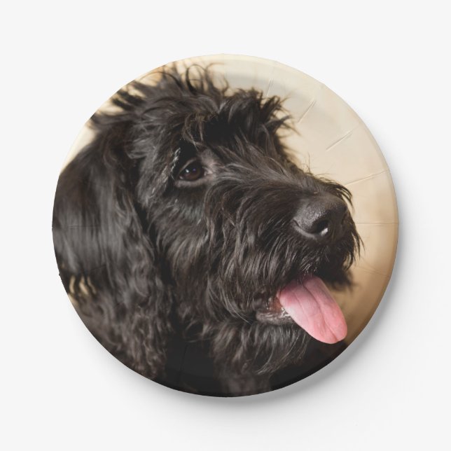 Labradoodle Paper Plates, 7" Paper Plates (Front)