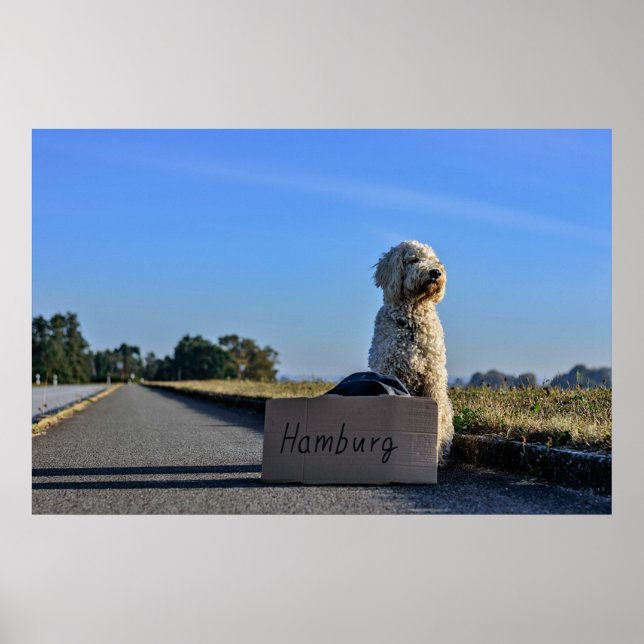 Labradoodle Poster (Front)