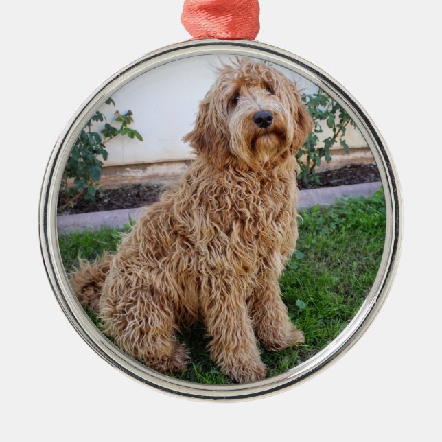 Labradoodle Puppy Dog Metal Ornament (Front)