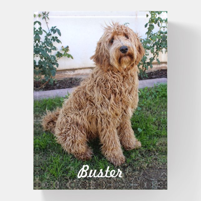 Labradoodle Puppy Dog Paperweight (Vertical)