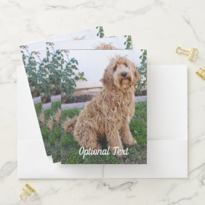 Labradoodle Puppy Dog Pocket Folder