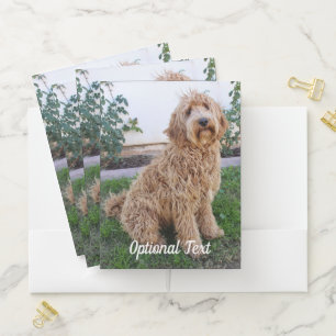 Labradoodle Puppy Dog Pocket Folder