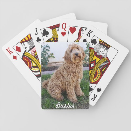 Labradoodle Puppy Dog Poker Cards
