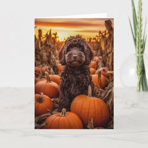 Labradoodle Thanksgiving Holiday Card