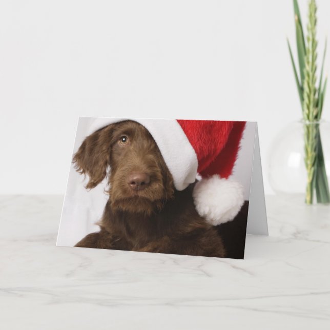 Labradoodle wearing a Santa hat Holiday Card (Front)