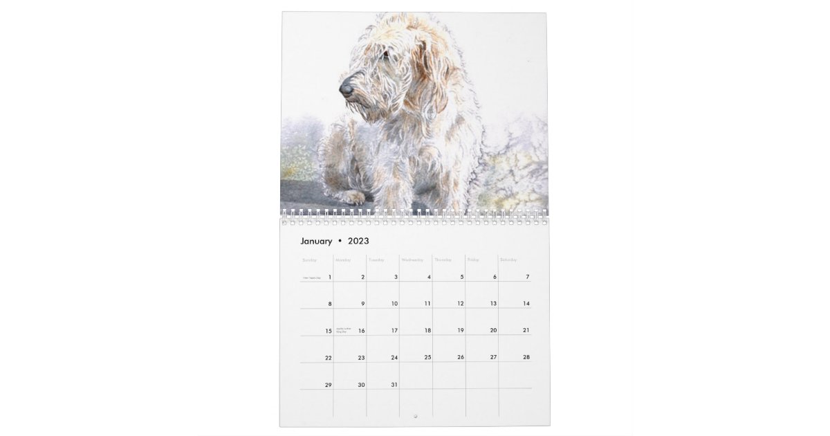 Labradoodles Calendar Zazzle