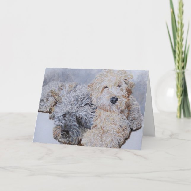 Labradoodles Two Greeting Cards (Front)