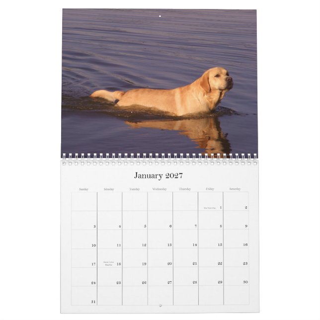 Labrador 2009 calendar (Jan 2027)