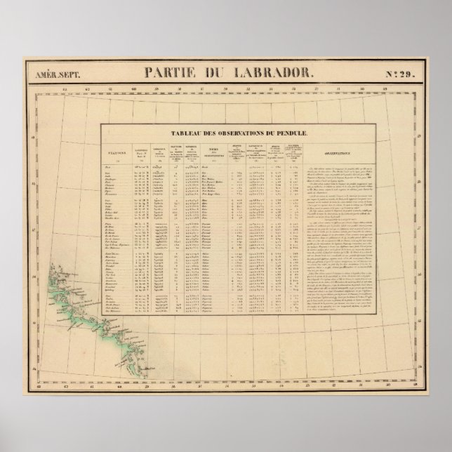 Labrador 29 poster (Front)