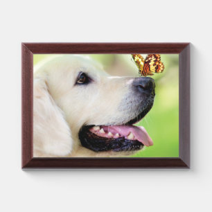 Labrador And Butterfly Throw Pillow Award Plaque