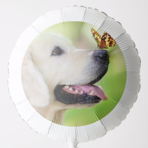Labrador And Butterfly Throw Pillow Balloon