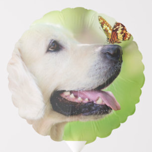 Labrador And Butterfly Throw Pillow Balloon