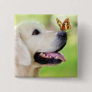 Labrador And Butterfly Throw Pillow Button