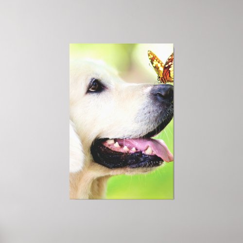 Labrador And Butterfly Throw Pillow Canvas Print