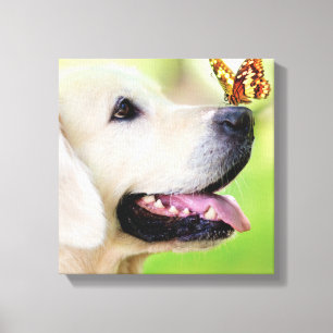 Labrador And Butterfly Throw Pillow Canvas Print