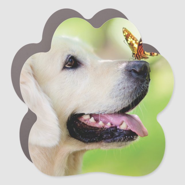 Labrador And Butterfly Throw Pillow Car Magnet (Front)