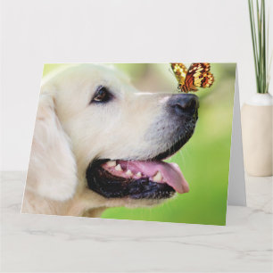 Labrador And Butterfly Throw Pillow Card