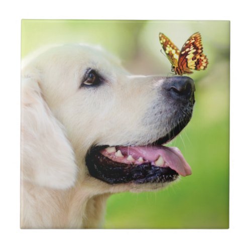 Labrador And Butterfly Throw Pillow Ceramic Tile