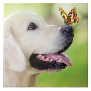 Labrador And Butterfly Throw Pillow Ceramic Tile