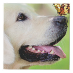 Labrador And Butterfly Throw Pillow Faux Canvas Print