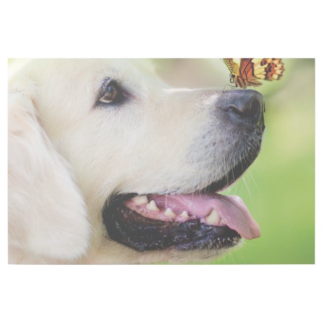 Labrador And Butterfly Throw Pillow Gallery Wrap (Front)