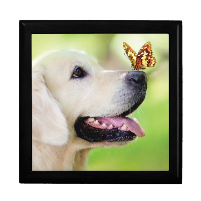 Labrador And Butterfly Throw Pillow Gift Box (Front)